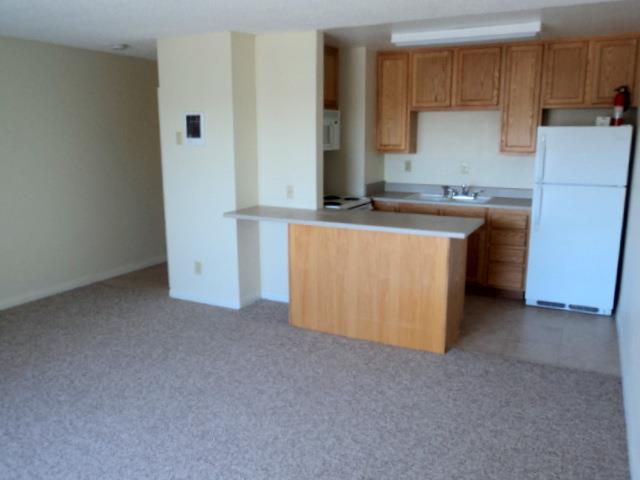 LOCATION! LOCATION! Walking distance to CSULB and Veteran's Hospital! Great single unit (studio) condo in the Park Ocean Condominiums near the corner of PCH & 7th Street. Great for a student or young executive. Secure building with an assigned parking space in gated parking garage. Includes electric range, microwave, refrigerator and wall A/C unit. Complex amenities include gym, pool, spa, tennis courts, recreation room, and onsite laundry facilities. This unit has newer paint, carpet and tile floors. Located just minutes from the ocean and marina. Water and trash included. No pets or smoking.