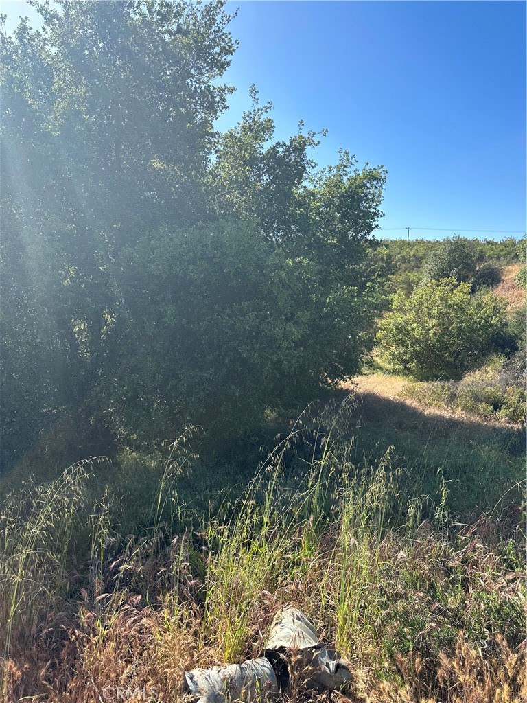 0 Sage & Red Mountain Road