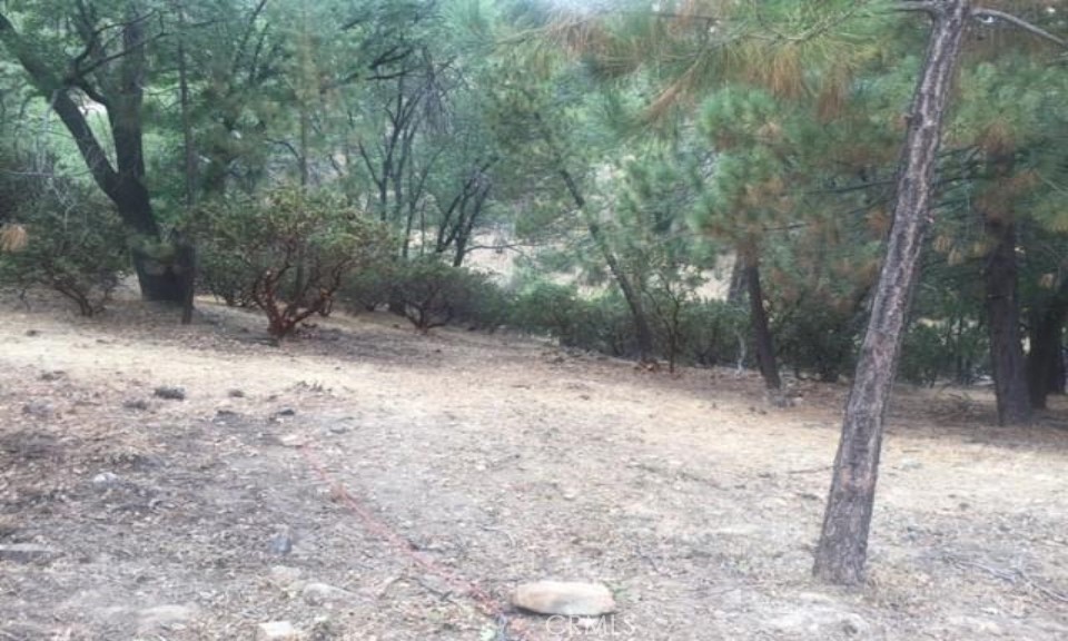 Discover a unique opportunity to acquire a prime lot in a serene and secluded community, perfect for building your dream home. This vacant land is situated at the end of the street, providing peace and privacy. The property is conveniently located just a few miles from Lake Arrowhead and close to the Lake Arrowhead Golf and Country Club, making it an ideal spot for outdoor enthusiasts.
Key features include readily available water and power up the street, and proximity to various recreational activities such as snowboarding, water skiing, and horseback riding. The lot is the last one on the left side of the street, and you can use "1674 Krause Ln" for easy navigation to the vicinity.
Take advantage of this exceptional opportunity in the beautiful San Bernardino mountains. Buyers are encouraged to conduct their own due diligence regarding possible building plans.