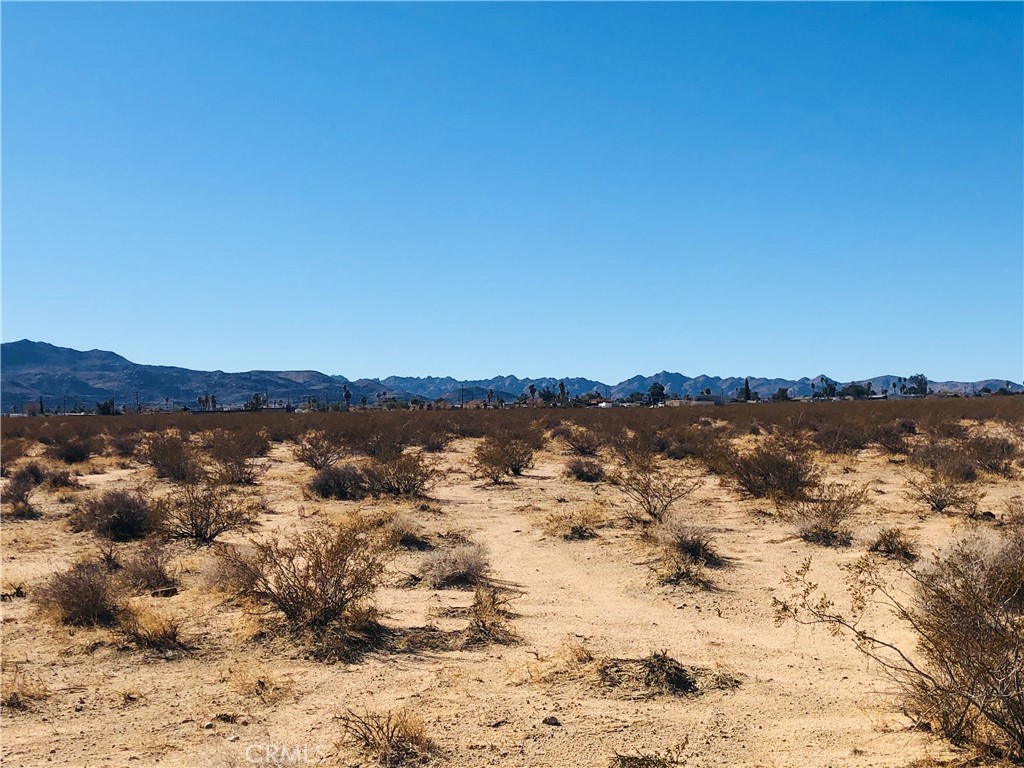 1.25 acres surrounded by undeveloped parcels. Close to a subdivision of custom homes. Endless open desert to explore. 5 minutes from Twentynine Palms High School and 15 minutes from the Joshua Tree National Park entrance. No access by road. Property does not have an assigned address - for listing purposes only. GPS: (34.1608868, -116.0867009) APN: 0619-111-15-0000