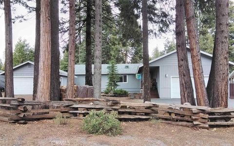 Photo of 3611 Park Hill Drive, Hamilton Branch, CA 96137 (MLS # SN24030805)