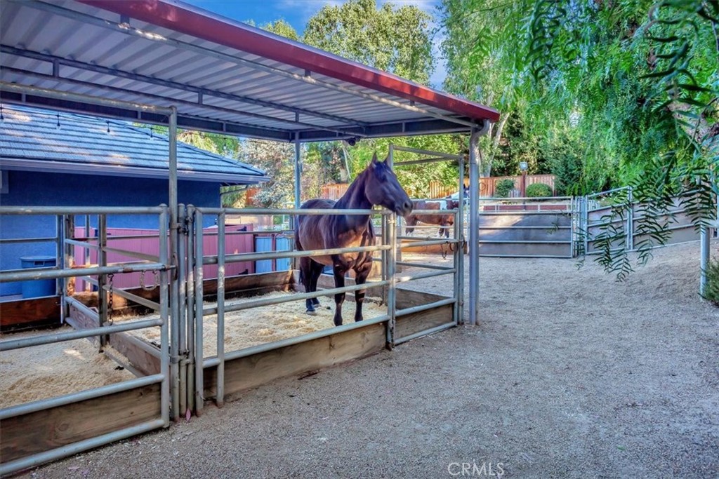 25342 Mustang Drive