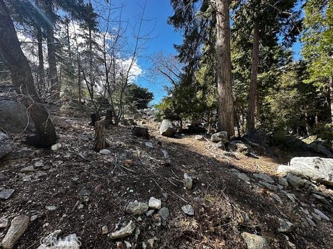 Photo of 0 Fir, Forest Falls, CA 92339 (MLS # IG25080148)