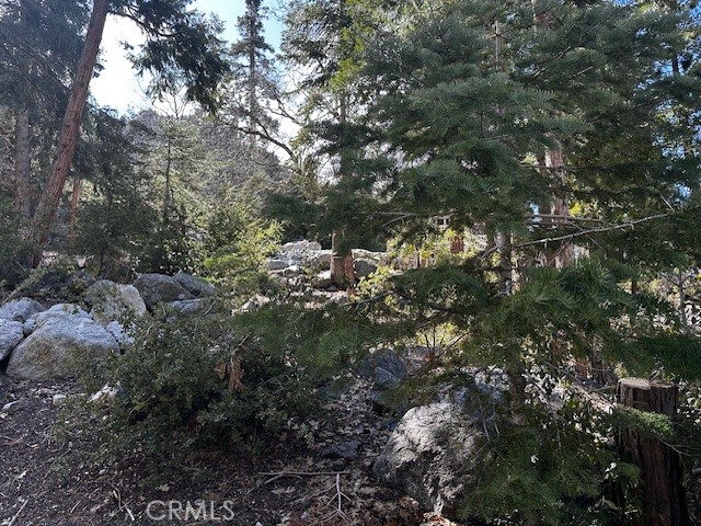 0 Fir