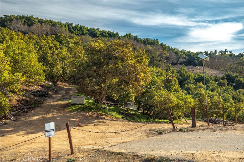 North Escondido - Land