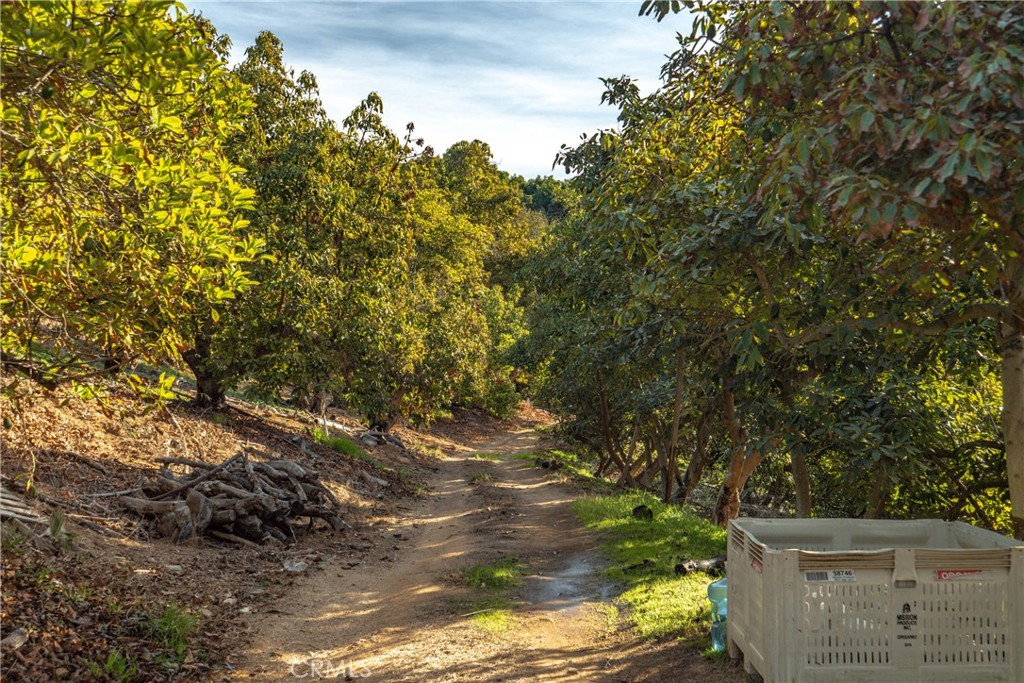 North Escondido - Land