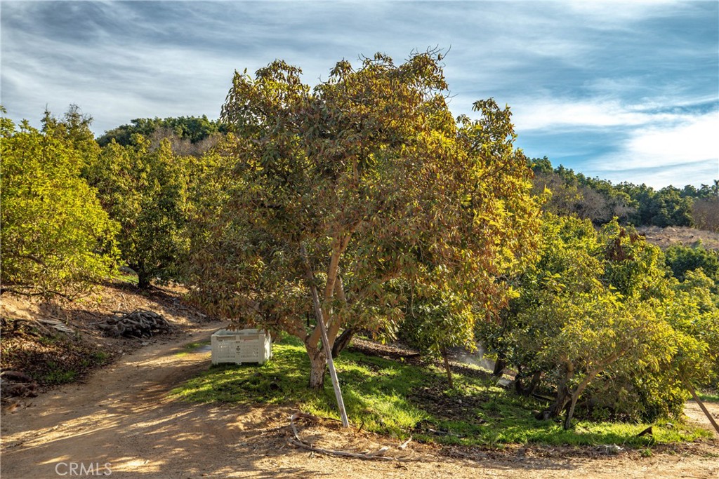 North Escondido - Land