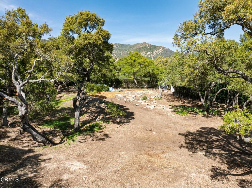 1297 E Mountain Drive