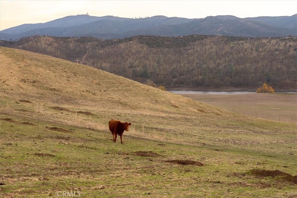 Creston(60) - Residential