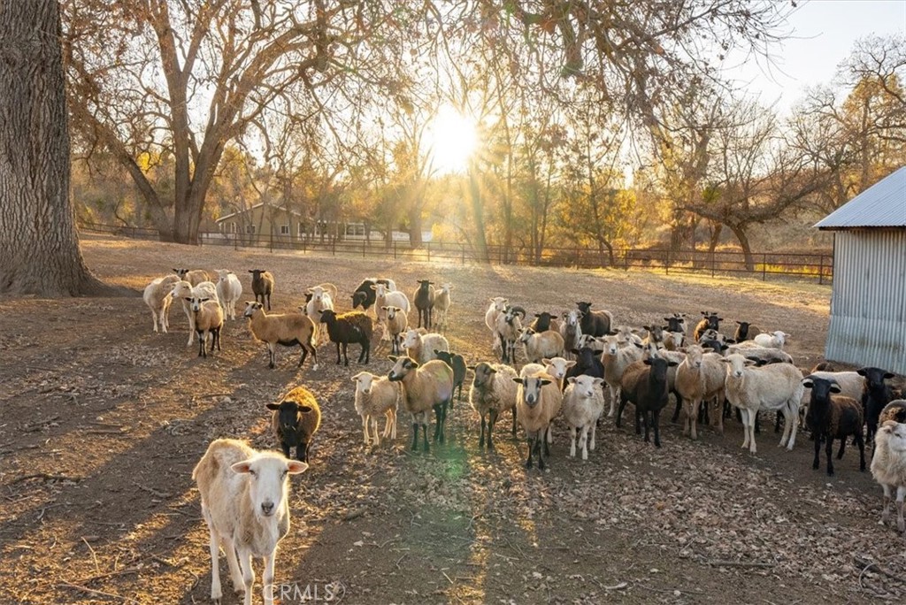 Creston(60) - Residential