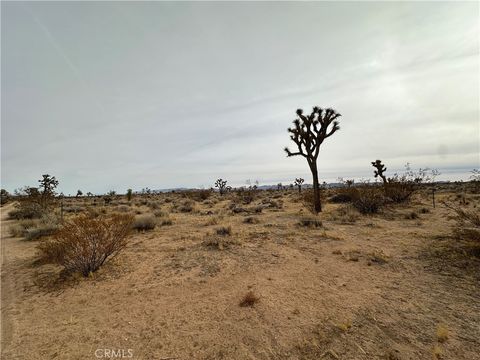 Photo of 0 Canterbury, Yucca Valley, CA 92284 (MLS # JT24249024) Photo of 0 Canterbury, Yucca Valley, CA 92284 (MLS # JT24249024)