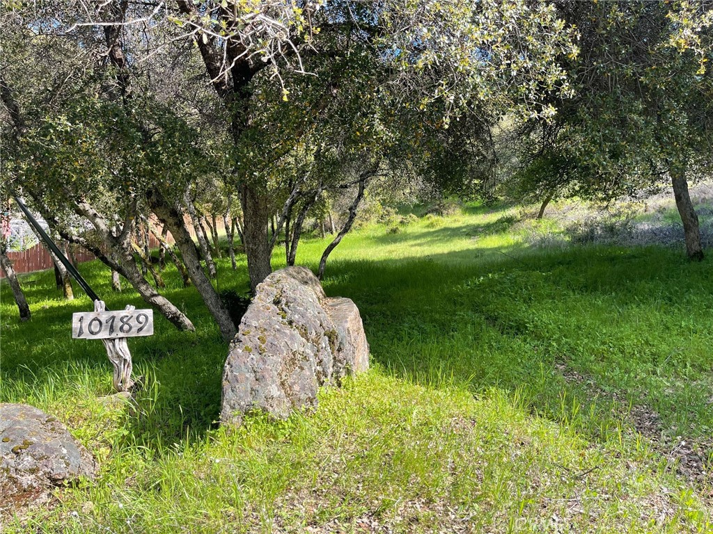 Parklike and picturesque: 10789 Harbor Road is your canvas to construct your dream lake home escape or your permanent residence in this quiet, low traffic and family friendly neighborhood. The property is gently sloping uphill from the road with smaller trees to provide shade or clear to make way for a foundation. A water meter box is present and awaits a meter. This lot is located just up the street from the Riviera Marina which offers slips, launching and other amenities. The property is also minutes from the Riviera Elementary School, Riviera Hills Restaurant & Lounge, as well as the Riviera Shopping Center. Soils test on file.