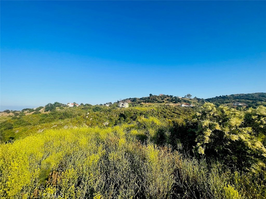 Photo 1 of 9 of 0 Avenida De Arboles land