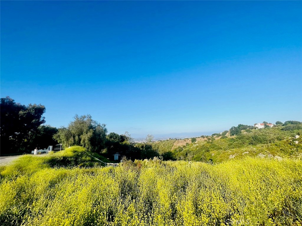 Photo 2 of 9 of 0 Avenida De Arboles land