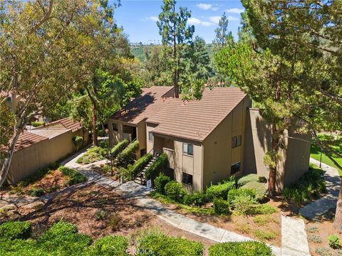 A home in Laguna Niguel