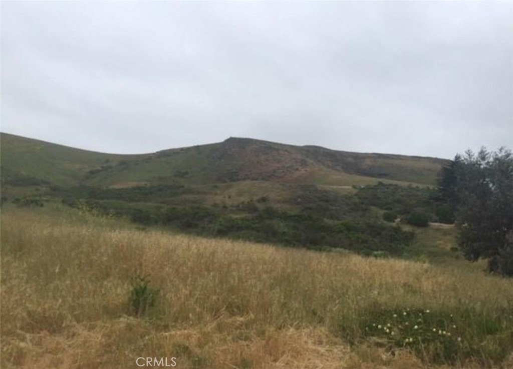Paper lot east of Highway 1 in rural Cayucos on Herbert Ave (lots 36 and 37). Lots are not buildable and do not have available services or access to property.