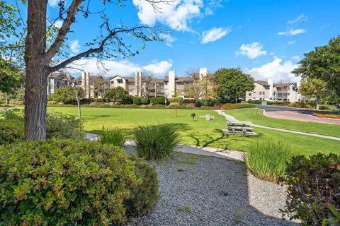 A home in Spring Valley