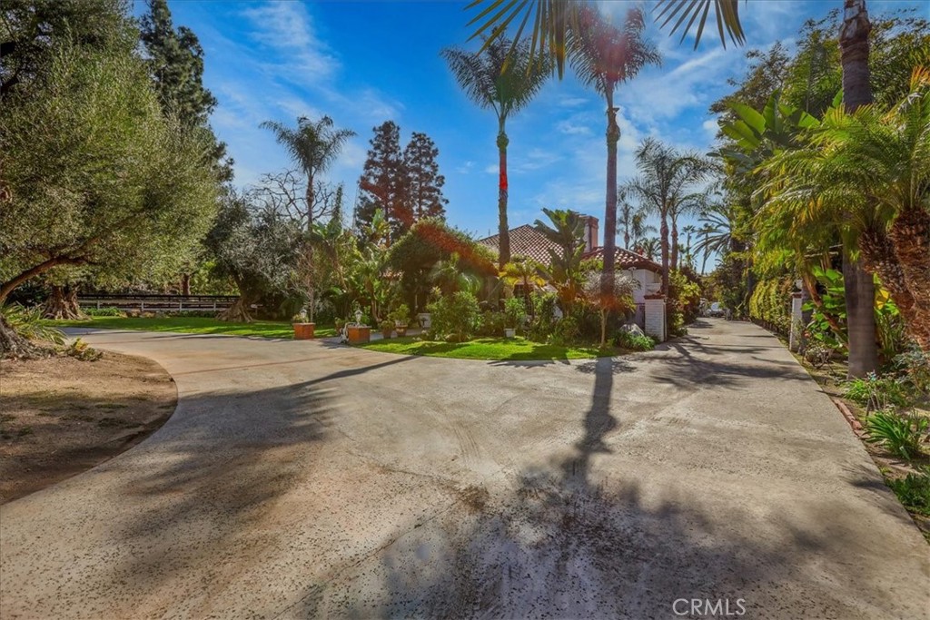 31391 Paseo Riobo
