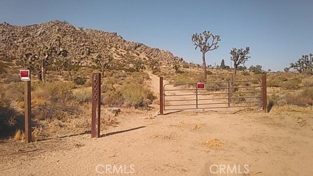 Listing image 4