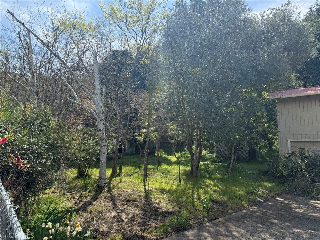 listing image 52