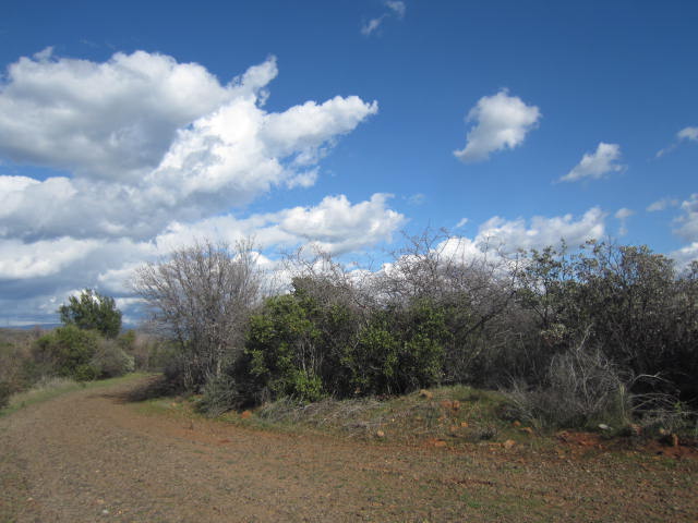 Great lot waiting for your own home, small farm~orchard or just a retreat. 6 acres with some views of the valley and PGE is close by. They're a few large houses in the area.