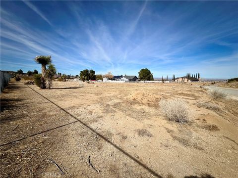 Photo of 0 163 STE VIC Burning Tree Street E, Llano, CA 93544 (MLS # JT25034566)