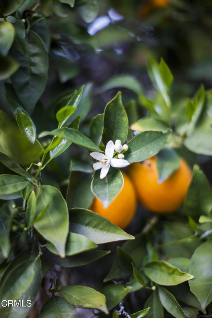 Not Applicable - Residential Lease