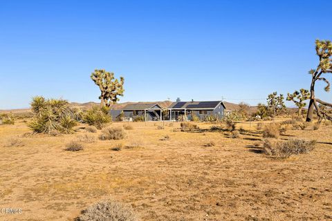 A home in Yucca Valley