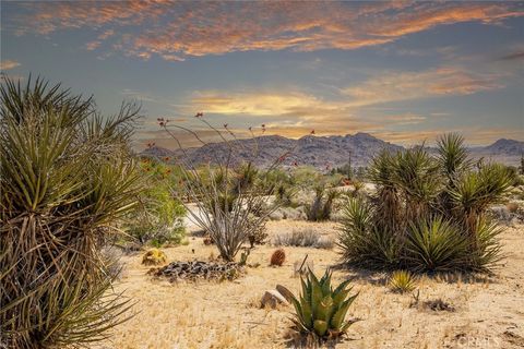 A home in Joshua Tree