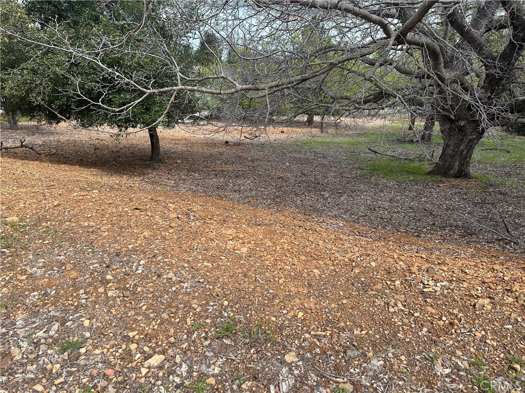 Breathtaking Lake Views Await! Build your dream home on this gorgeous lot in the coveted Riviera West Subdivision. Just two hours from the Bay Area, enjoy peaceful lake life with access to a pool, clubhouse, marina, and more. Wine country vibes meet water views—don’t miss this rare opportunity!