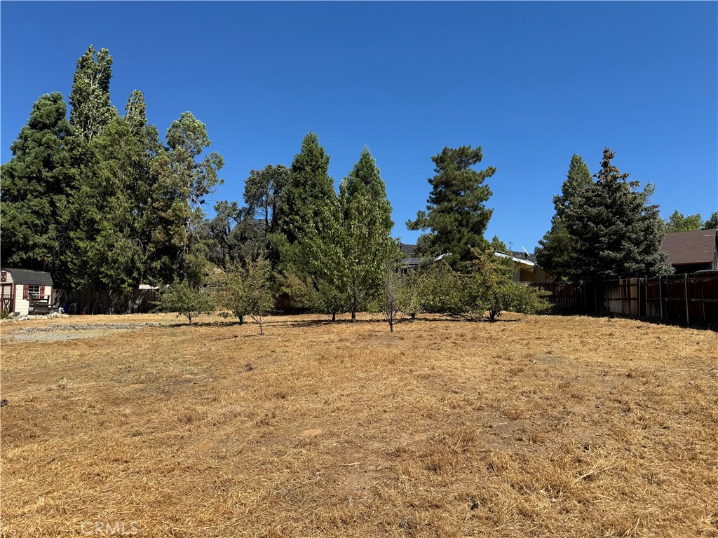 SPECTACULAR LOT! SAVED THE BEST FOR LAST!! This is possibly the most beautiful flat and probably the highest elevation of parcels in Pinion Pines that is still undeveloped. Excellent lot selection for building your perfect home or cabin. (Seller has Construction Plans already prepared for this Lot). Perc test included with offer. Streets are paved and snow gets plowed. Neighboring homes are well maintained and neatly manicured. This gem has multiple fruit trees and large mature pine trees to provide good shade in summer. You are going to want to see this lot for yourself as it sits in the perfect location! Water is already established on the property making this a spectacular opportunity!