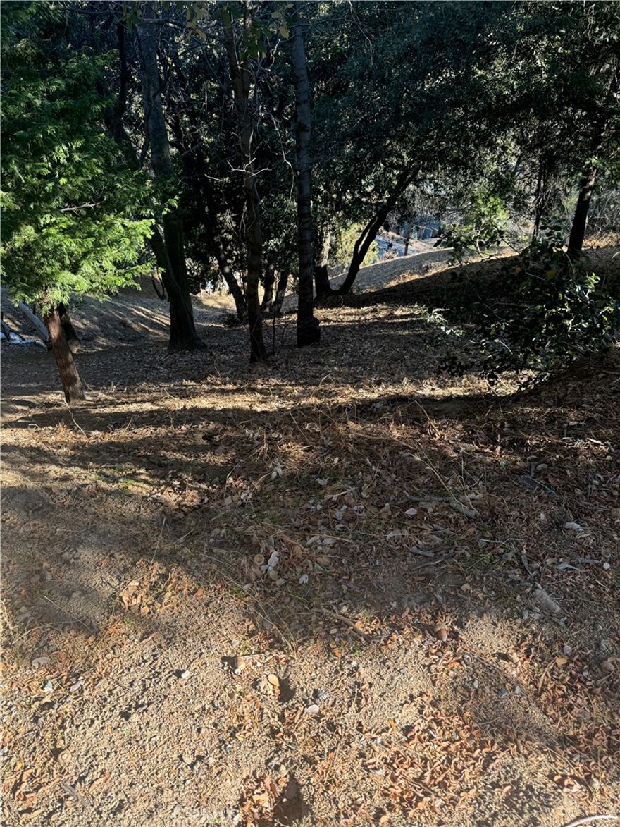 Are you ready for your own piece of mountain land? Downslope lot located in Crestline and just minutes from town and Lake Gregory. A downslope lot allows for a level entry build with garage options. All utilities close by. 7,350 sq feet with enough room to build your mountain get-a-way!