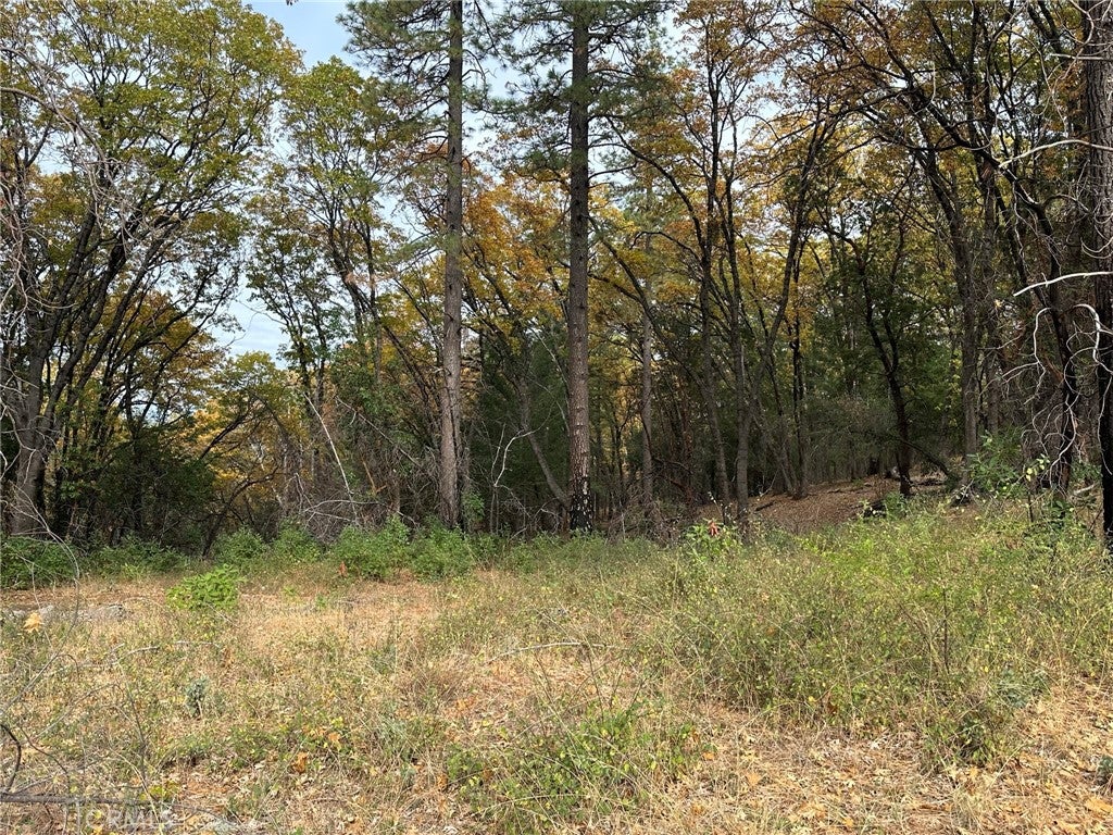 0 Bunker Hill Mine Rd