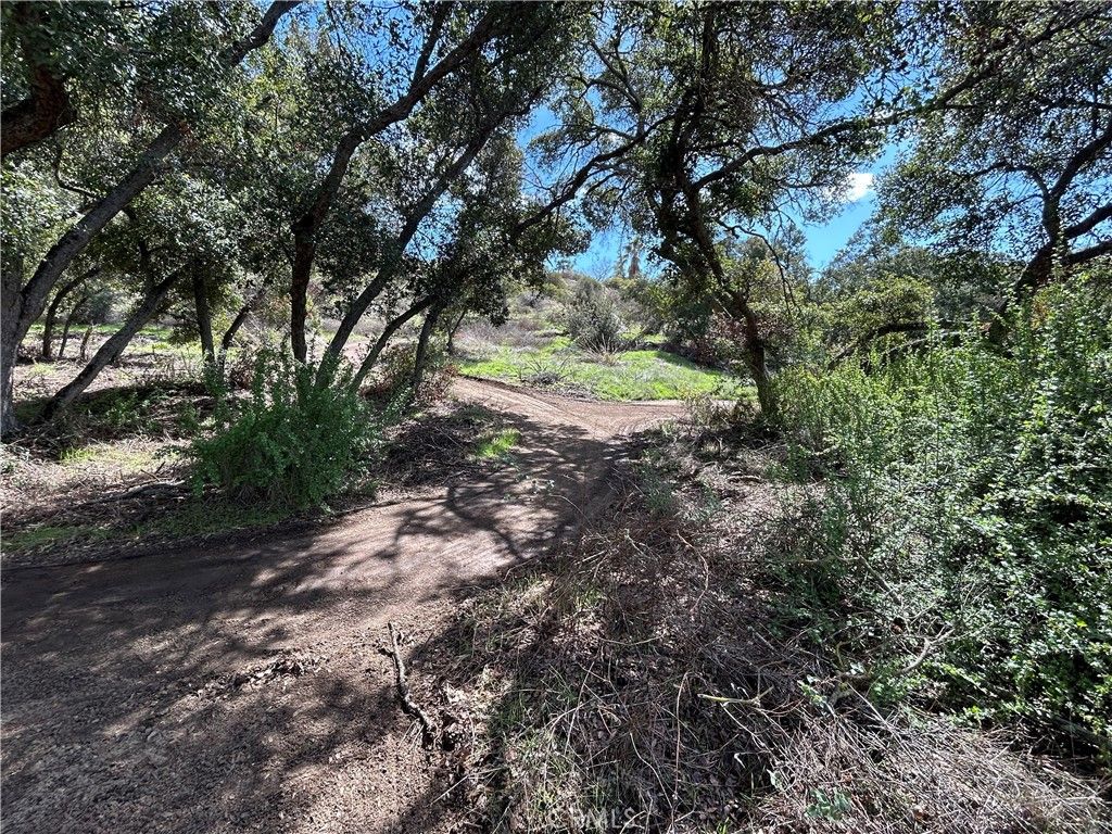 listing image 46