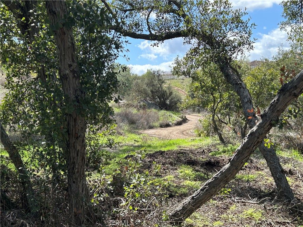 listing image 47