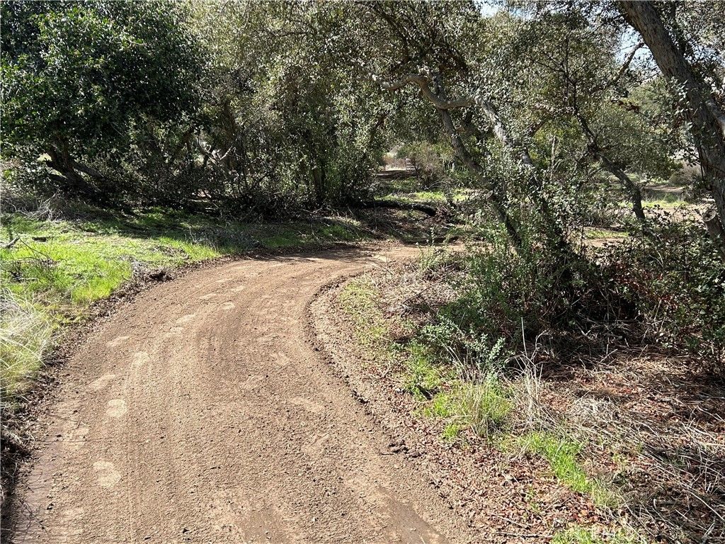 listing image 50