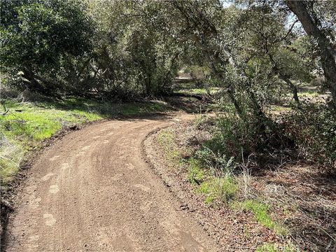 listing image 50