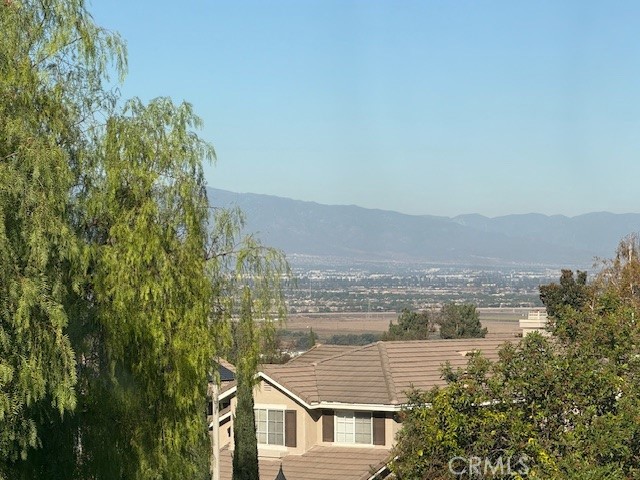 4952 Mandarin Court