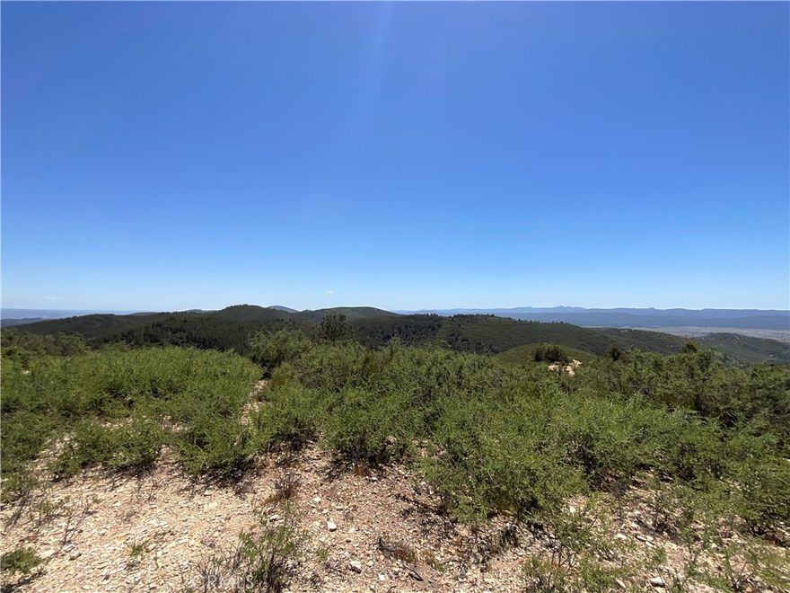 This is a beautiful 40 acres with amazing views. This property has many spots you could build a home or bring your RV. This property will make a great full time off-grid homestead or weekend getaway. You can have horses or raise livestock. Argyle road is known for its wildlife with Deer, Turkey, Pig, Elk, and more. The area has two lakes that allow water sports, fishing, and camping. Ride your bikes, shoot your guns or just look at the stars. We also have Fort Hunter Liggett that allows hunting, camping, and fishing. It is a short drive to King City for all your needs. We are also listing the two properties next to it for a total of 140 acres available to buy.