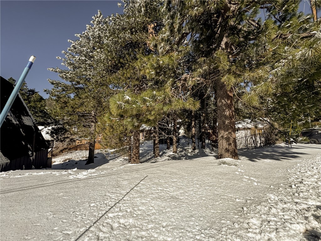 Listing image 6
