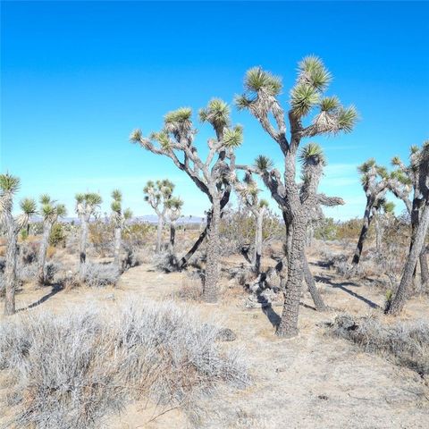Photo of 0 W AVE 12, Llano, CA 93544 (MLS # PW24252907)
