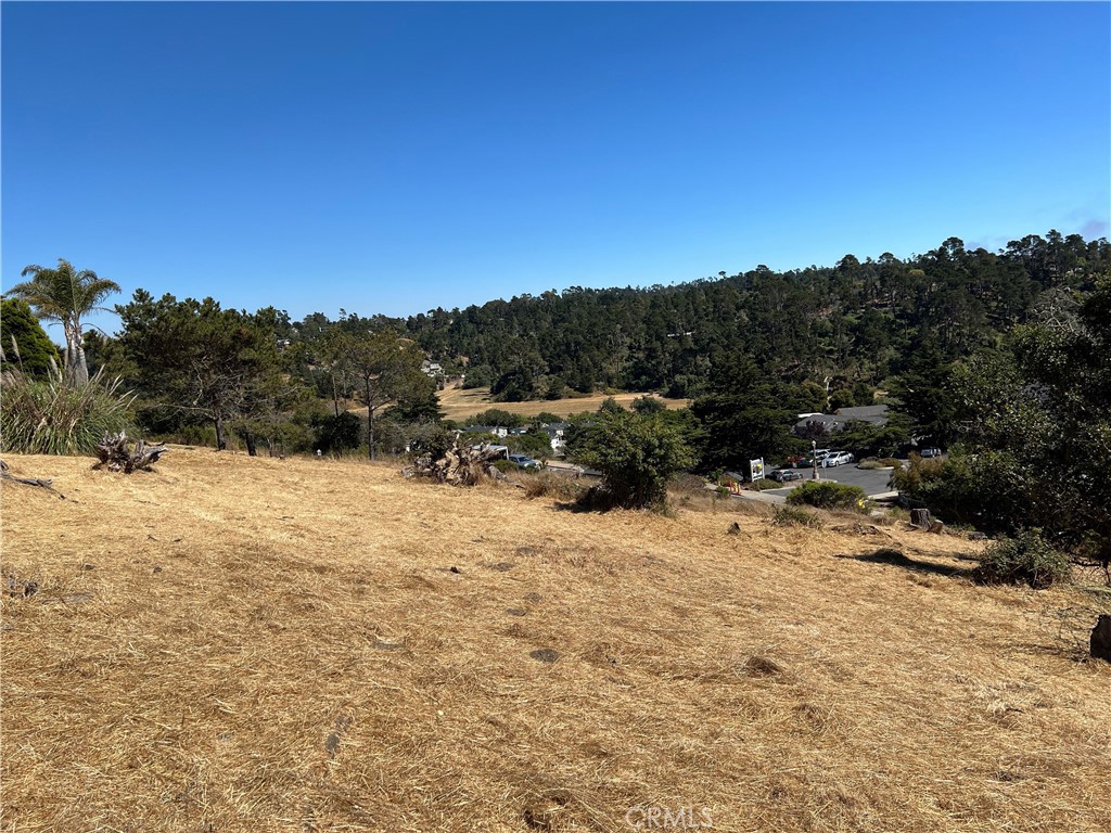 Pine Knolls Estates +-2/3 acre at the end of Grove Street with #218 on CCSD Water Wait List! Overlooks West Village to the Ocean and the Fiscalini Preserve. Gentle slope, easy access, private sunny area. Paved Street to the edge of the property. Don't miss this Excellent Property! Buy and Hold for now until the current building moratorium for new construction is lifted. Check CCSD and county websites (cambriacsd.org & slocounty.ca.gov) for info on the moratorium & allowable uses for property. Offered for $99,000.