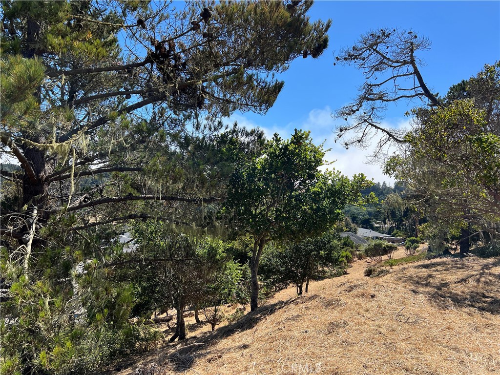 Pine Knolls Estates(470) - Land