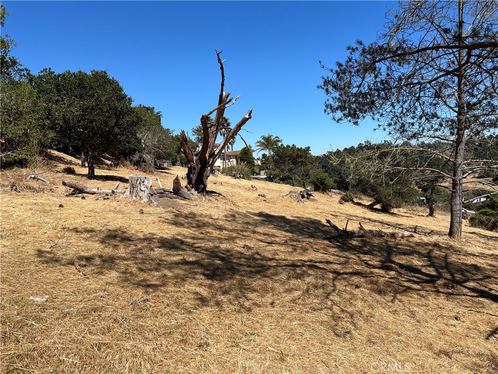 Pine Knolls Estates(470) - Land