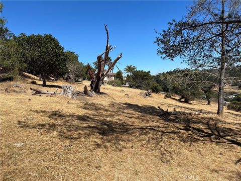 Tiny photo for 4925 Grove Street, Cambria, CA 93428 (MLS # SC23001880)