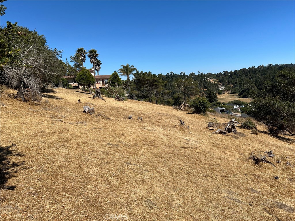 Pine Knolls Estates(470) - Land