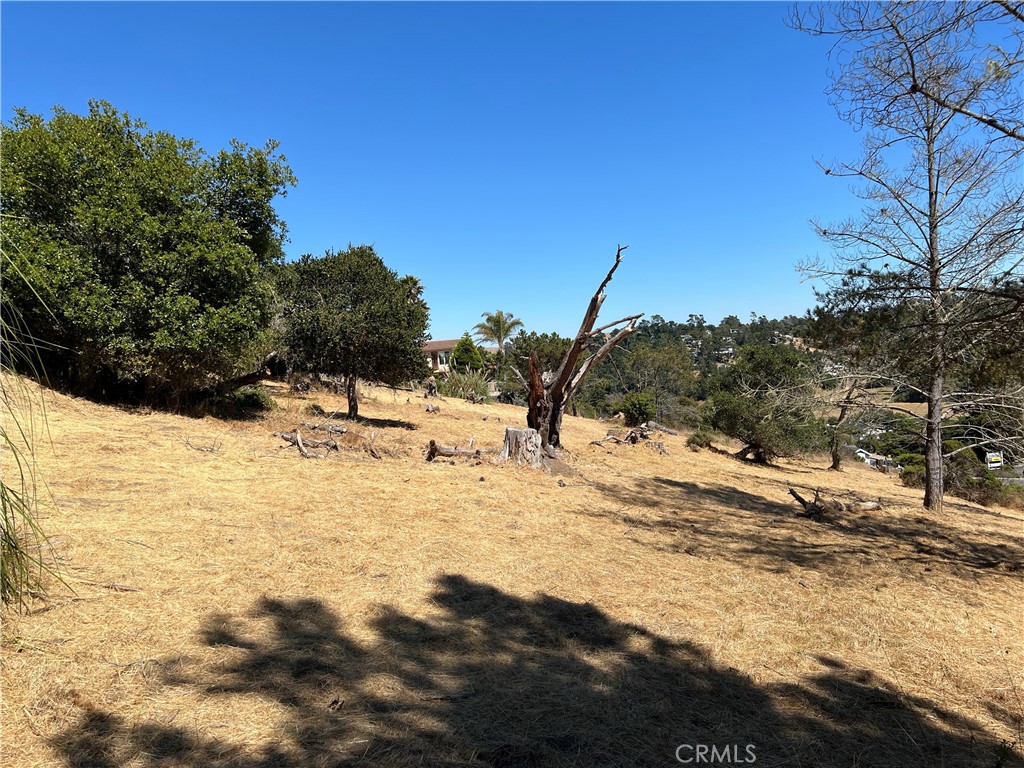 Pine Knolls Estates(470) - Land
