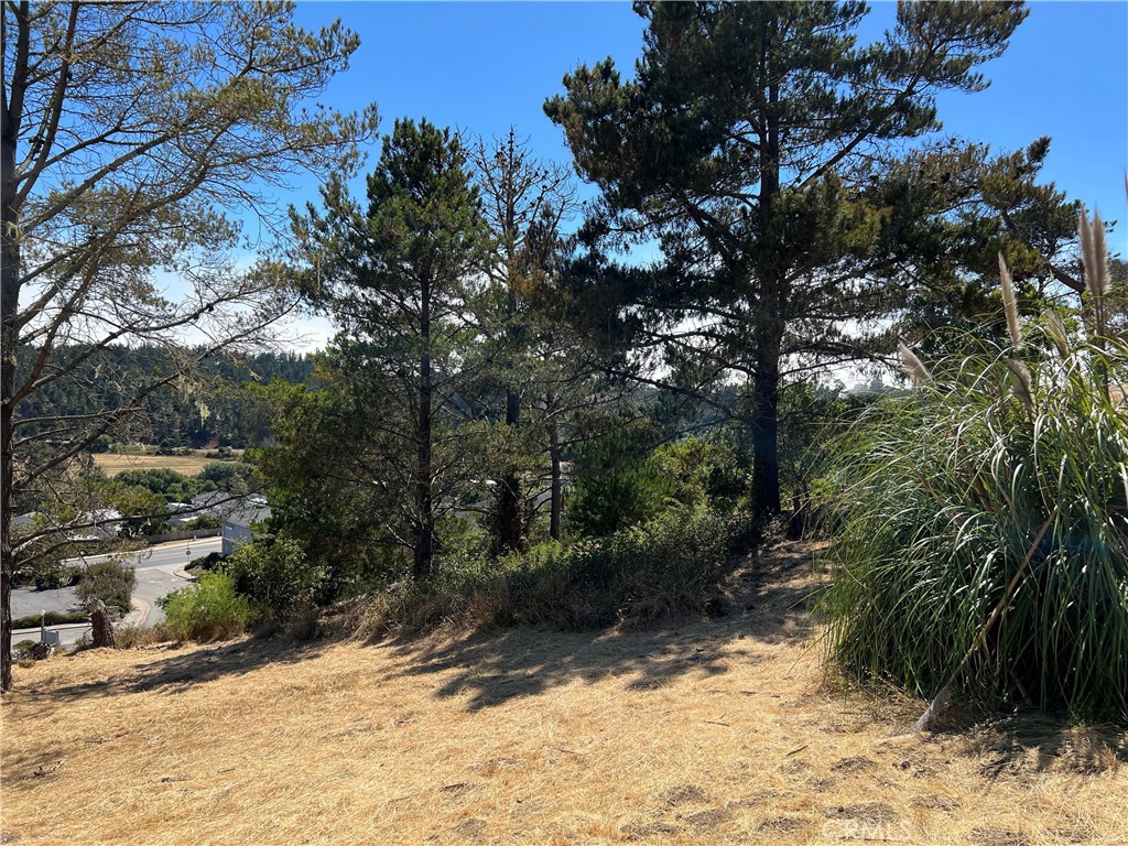 Pine Knolls Estates(470) - Land