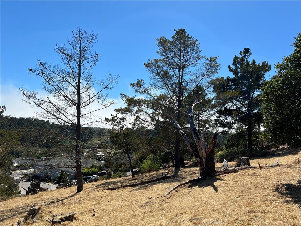 Pine Knolls Estates(470) - Land