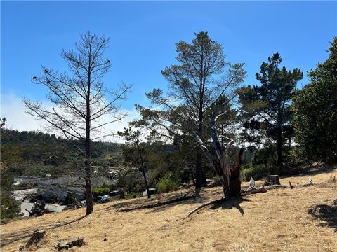 Tiny photo for 4925 Grove Street, Cambria, CA 93428 (MLS # SC23001880)